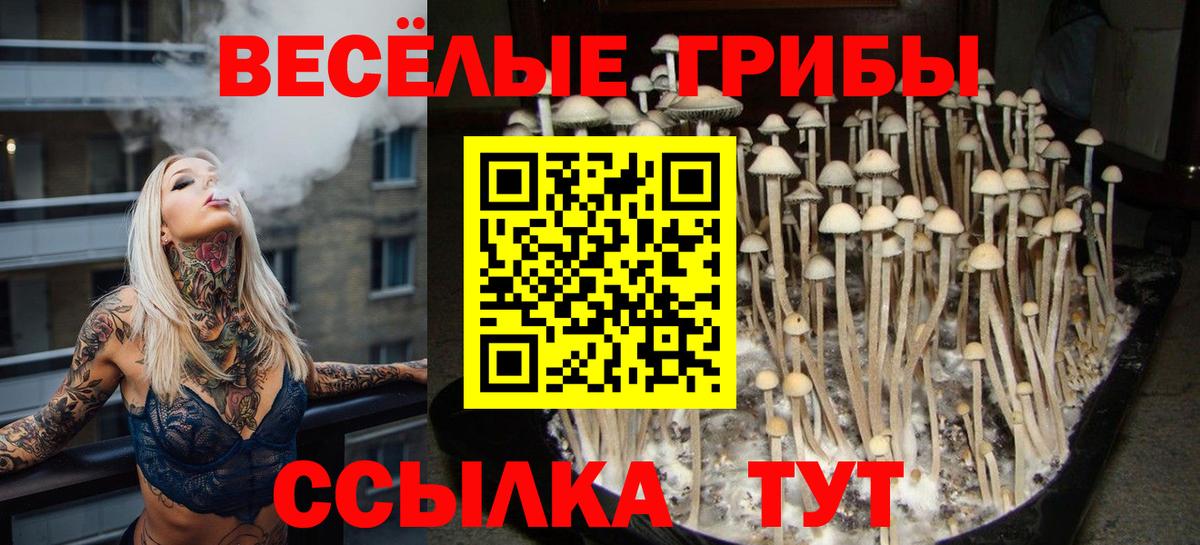 Красноуфимск  Галлюциногенные грибы прущие грибы  Вход с VPN 